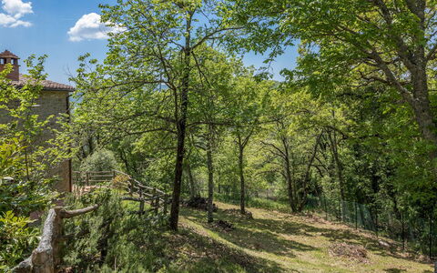 Casa Largnano 6+2: Afdeling, Boom, Blad, Natuur, Vegetation, Struik, Plantengemeenschap, Takje, De Lente, Trunk
