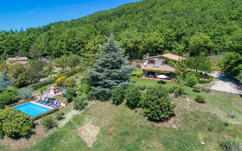 Villa Paola 6: Landschap, Landelijk Gebied, Landgoed, Heuvel Station, Woud, Eco Hotel, Vogelperspectief, Jungle, Plantage, Landscaping