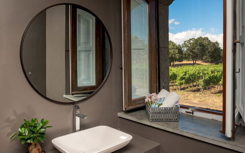 Villa Terre Normanne 10: Interieur Ontwerp, Spiegel, Loodgieterswerkinrichting, Kraan, Loodgieter, Wastafel In De Badkamer, Wastafel, Serveware, Badkamer, Lichte Inrichting