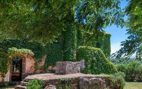 Villa Terre Normanne 10: Groen, Muur, Blad, Natuur, Vegetation, Struik, Tuin, Groundcover, Stenen Muur, Schaduw