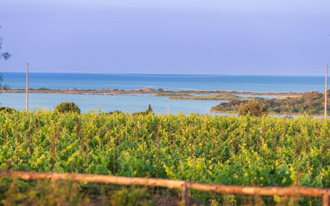 Villa Passo degli Aironi 12: Blauw, Horizon, Kust En Oceanic Landvormen, Zee, Kust, Oceaan, Plantage, Kust, Veld, Shrubland