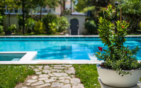 Villa Guidi 10: Groen, Zwembad, Struik, Tuin, Schaduw, Vrije Tijd, Buitenmeubels, Landscaping, Gazon