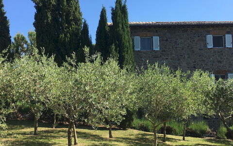 Villa Carmeli 12+2