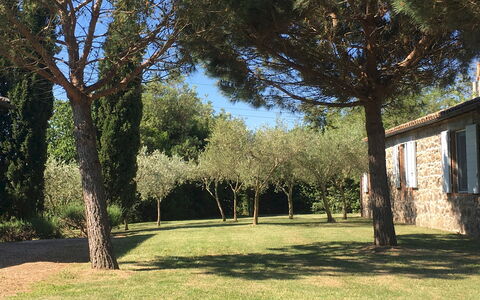 Villa Carmeli 12+2