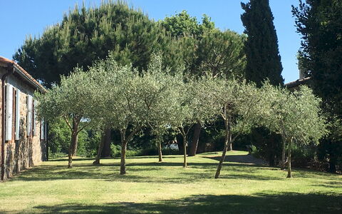 Villa Carmeli 12+2