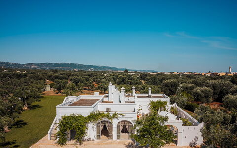 La Torre di Monsignore 12: Architectuur, Landschap, Landgoed, Hacienda, Herenhuis, Landscaping, Villa, Oprit, Historisch Huis,  Passage\