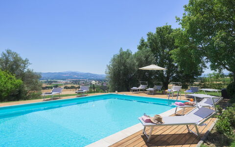 La Panoramica 8