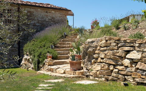 Country House Lo Spigo 4