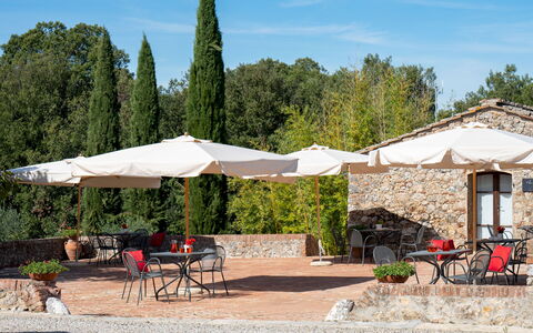 Borgo Gallinaio 32: Schaduw, Buitenmeubels, Paraplu, Tuin, Buitentafel, Stoel, Landscaping, Outdoor Structuur, Werf, Bloempot
