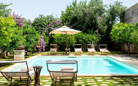 Masseria Tarsia Incuria 8+4: Zwembad, Buitenmeubels, Toevlucht, Meubilair, Bloempot, Eco Hotel, Tuin, Stoel, Samengesteld Materiaal, Backyard
