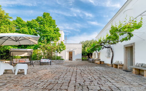 Masseria Profilo 8: Bloempot, Schaduw, Flagstone, Tuin, Buitenmeubels, Binnenplaats, Kamerplant, Stoel, Werf, Oprit
