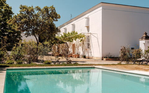 Masseria Profilo 8: Landgoed, Tuin, Schaduw, Zwembad, Hacienda, Werf, Landscaping, Backyard, Binnenplaats, Villa