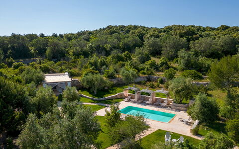 Pigreco 6+2: Boom, Landschap, Zwembad, Tuin, Landgoed, Landscaping, Eco Hotel, Toevlucht, Backyard, Villa
