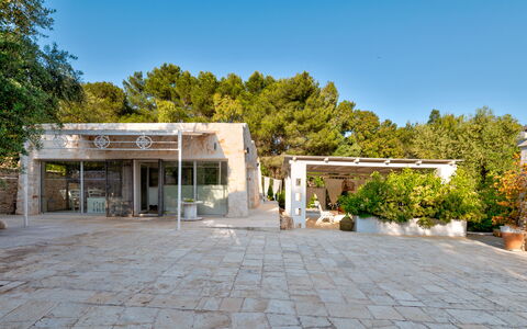 Pigreco 6+2: Boom, Schaduw, Landgoed, Oprit, Beton, Landscaping, Binnenplaats, Hacienda, Flagstone, Villa