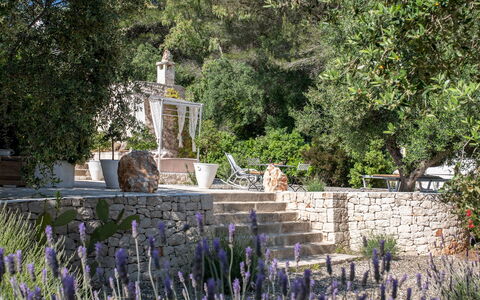 Pigreco 6+2: Struik, Tuin, Landscaping, Backyard, Botanische Tuin, Werf, Bloempot