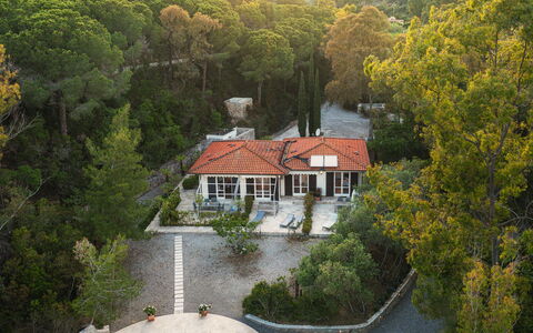 Villa Laconella 8+4: Boom, Huis, Landschap, Woongebied, Huis, Struik, Landelijk Gebied, Dak, Verblijf, Landgoed