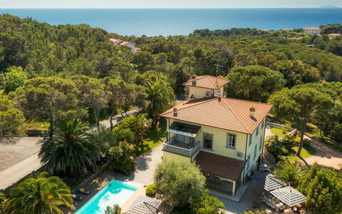 Villa Gaius 8+2: Blauw, Woongebied, Toevlucht, Eco Hotel, Landgoed, Balkon, Zwembad, Tropen, Villa