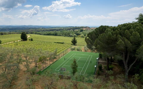 Terra di Siena 14: Boom, Landschap, Land Lot, Tennisbaan, Luchtfotografie, Gazon, Park, Vogelperspectief, Landscaping