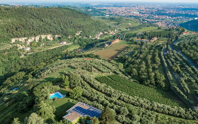 Villa degli Ulivi 8