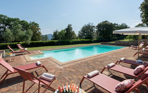 Cosciano 12: Landgoed, Toevlucht, Zwembad, Tuin, Hacienda, Villa, Eco Hotel, Landscaping, Boerderij, Binnenplaats