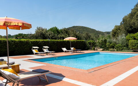 Villa Nikka 6: Zwembad, Toevlucht, Eco Hotel, Hacienda, Hotel, Ligstoel, Thermae, Villa