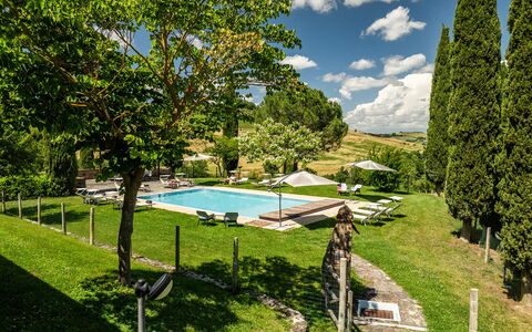 Le Colombelline 12: Zwembad, Tuin, Vrije Tijd, Gazon, Landgoed, Buitenmeubels, Ligstoel, Landscaping, Villa, Park