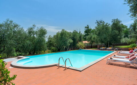 Villa Irene 6: Zwembad, Toevlucht, Hacienda, Eco Hotel, Buitenmeubels, Backyard, Landscaping, Werf, Villa, Hotel