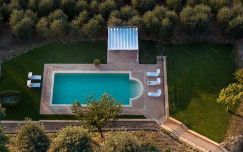 Villa Binetti 7: Zwembad, Toevlucht, Thermae, Tuin, Waterpartij, Landgoed, Gazon, Landscaping, Reflecting Pool, Backyard