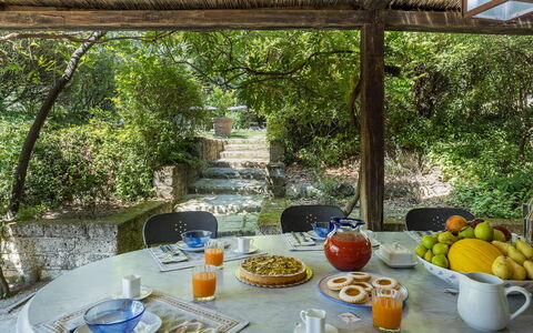 Casale le Querce di Cetona 8: Struik, Meubilair, Tuin, Buitenmeubels, Stoel, Schaduw, Backyard, Landscaping, Buitentafel, Keuken En Eettafel
