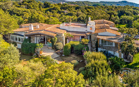 Villa Stella 6: Vegetation, Struik, Plantengemeenschap, Landschap, Land Lot, Landelijk Gebied, Landgoed, Shrubland, Dicht Struikgewas