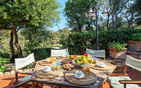 Villa Stella 6: Meubilair, Buitenmeubels, Tafel, Stoel, Buitentafel, Keuken En Eettafel, Bloempot, Tuin, Patio
