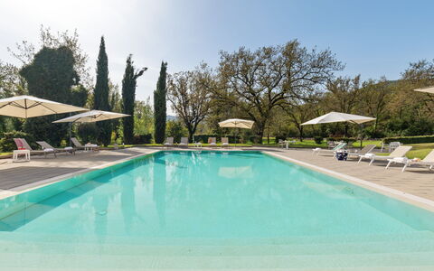Tenuta Esdra 20: Zwembad, Boom, Toevlucht, Buitenmeubels, Tuin, Schaduw, Landscaping, Eco Hotel, Landgoed, Gazon