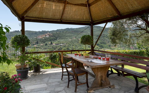 Villa Vittorio 6+2: Meubilair, Buitenmeubels, Tafel, Buitentafel, Stoel, Schaduw, Tuin, Outdoor Structuur, Bloempot, Eco Hotel