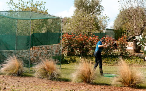 Villa Belkis 6: Struik, Tuin, Recreatie, Vrije Tijd, Gazon, Landscaping, Botanische Tuin, Backyard
