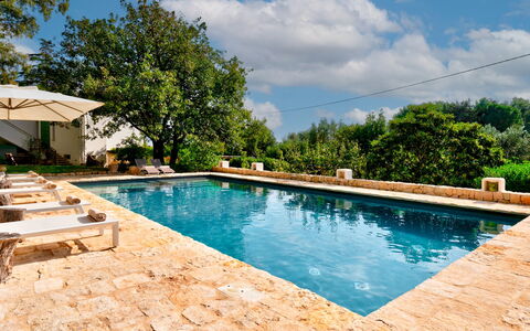 Villa Giari 8: Zwembad, Buitenmeubels, Toevlucht, Vrije Tijd, Waterpartij, Stoel, Ligstoel, Flagstone, Landscaping, Backyard