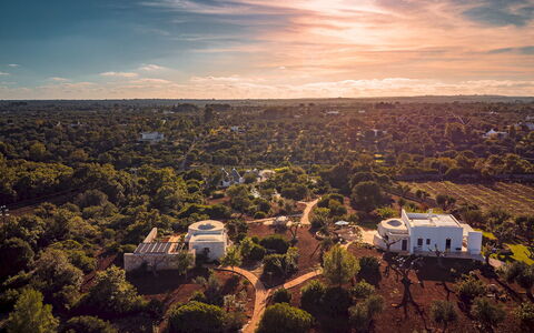 Borgo Dell'Agrumeto 8: Boom, Natuur, Horizon, Landschap, Vogelperspectief, Luchtfotografie, Zonlicht, Landgoed, Plantage, Shrubland