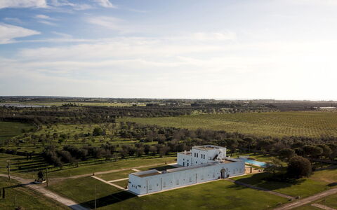 Masseria Samali 14+4: Dag, Gras, Plain, Landschap, Grasland, Land Lot, Landelijk Gebied, Landgoed, Veld, Weide