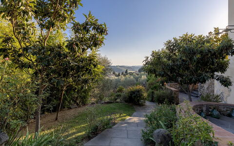 Villa Treggiaia 12+2: Vegetation, Struik, Landschap, Plantengemeenschap, Tuin, Zonlicht, Landscaping, Botanische Tuin, Dicht Struikgewas