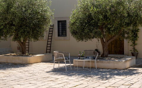 Dimora degli Ulivi 10: Schaduw, Tuin, Flagstone, Woody Plant, Bloempot, Beton, Binnenplaats, Landscaping, Steen, Ontwerp