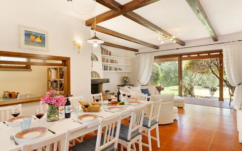 Villa Castiglione 9