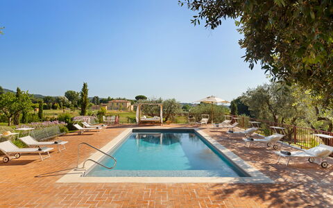Antico Ceraso 10: Zwembad, Toevlucht, Landgoed, Tuin, Hacienda, Eco Hotel, Landscaping, Buitenmeubels, Ligstoel, Villa