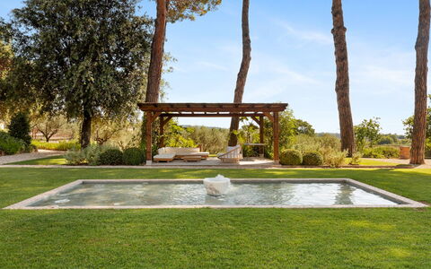 Antico Ceraso 10: Boom, Tuin, Struik, Land Lot, Schaduw, Landscaping, Gazon, Zwembad, Backyard