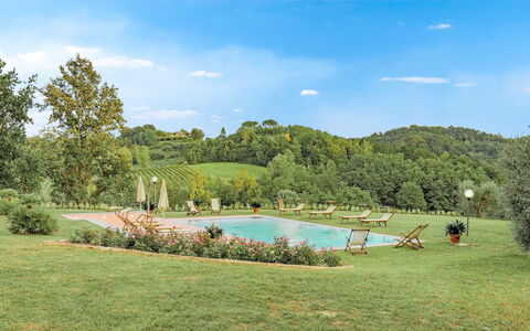 Il Cerreto 11: Boom, Vegetation, Natuurlijk Landschap, Landschap, Struik, Land Lot, Zwembad, Tuin, Plantage, Eco Hotel