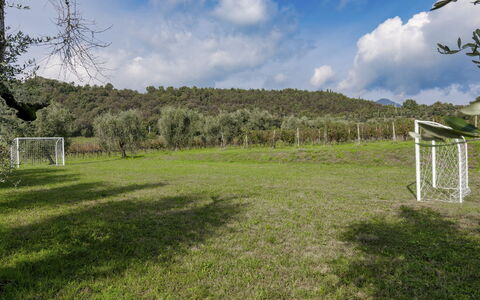 Tenuta Navelli 12+2: Gras, Boom, Grasland, Land Lot, Plain, Weide, Pasture, Gazon, Veld