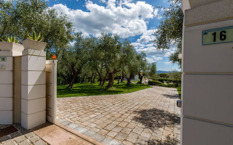 Villa Mandara 8+2: Struik, Tuin, Schaduw, Landscaping, Gang, Park, Backyard