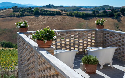 La Buona Maniera 10: Muur, Bloempot, Buitenmeubels, Kamerplant, Balkon, Stoel, Buitentafel, Schaduw, Werf, Backyard