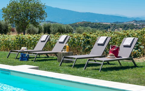 La Buona Maniera 10: Buitenmeubels, Ligstoel, Tuin, Gazon, Schaduw, Zwembad, Toevlucht, Werf, Landscaping, Chaise Longue