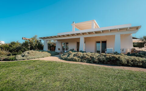 Kyvos 10: Struik, Huis, Land Lot, Landgoed, Boerderij, Tuin, Schaduw, Villa, Landscaping