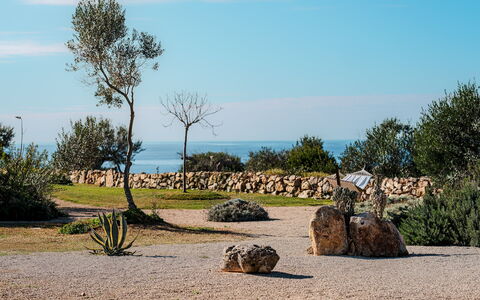 Kyvos 10: Felsen\, Landschap, Landscaping, Tropen