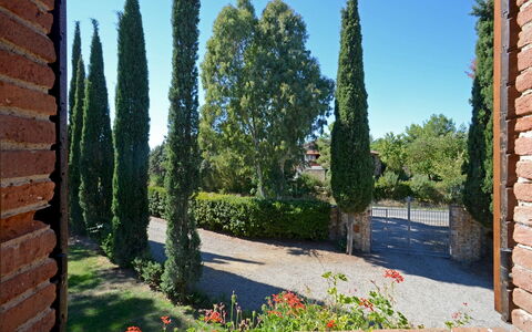 La Magia 8+2: Struik, Woody Plant, Tuin, Landscaping, Evergreen, Haag, Pine Family